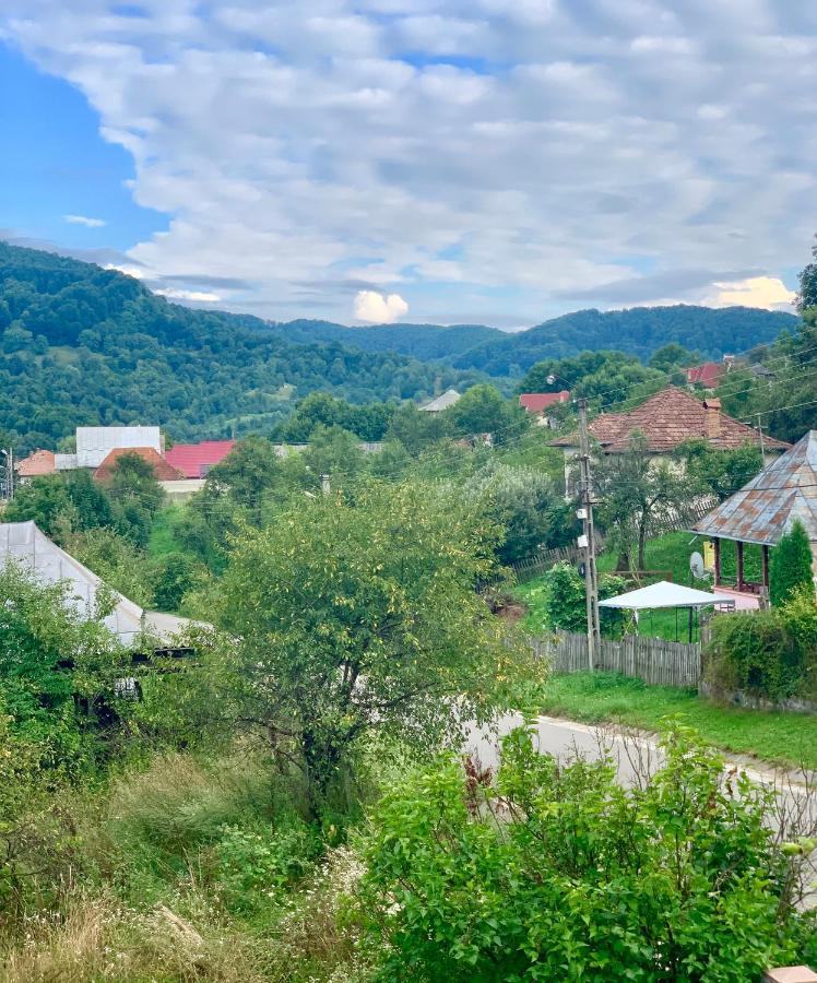 Отель Vila Zia Корбени Экстерьер фото